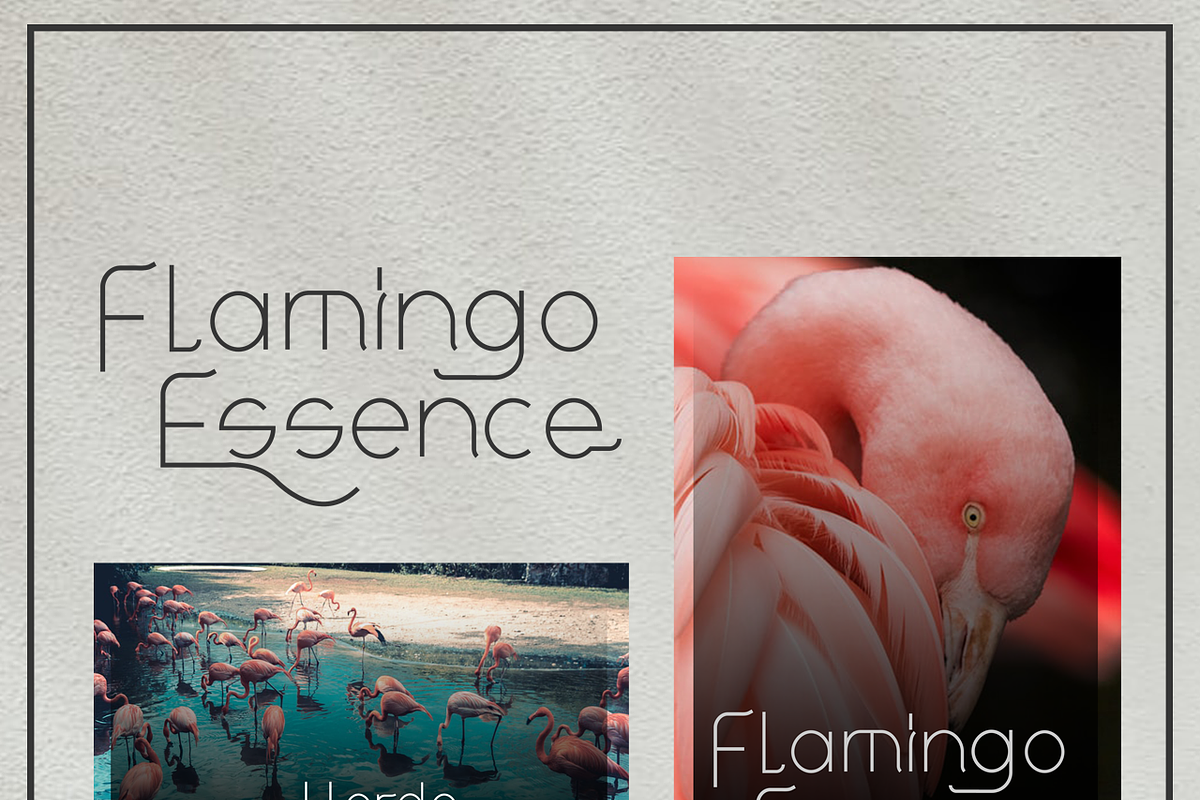Aero | Sans serif Typeface, a Sans Serif Font by Randomtypesht (Photo 7 of 7)