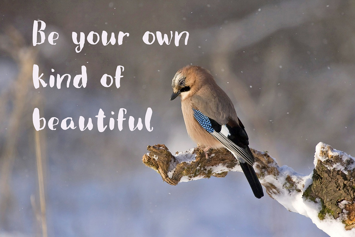 Violets | thick brush font, a Handwritten Font by Art pages (Photo 8 of 12)