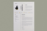 Clean Resume, a Resume Template by Pixelpick (Thumbnail 4 of 4)