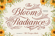 Chetta Money Typeface, a Script Font by alit design (Thumbnail 7 of 17)