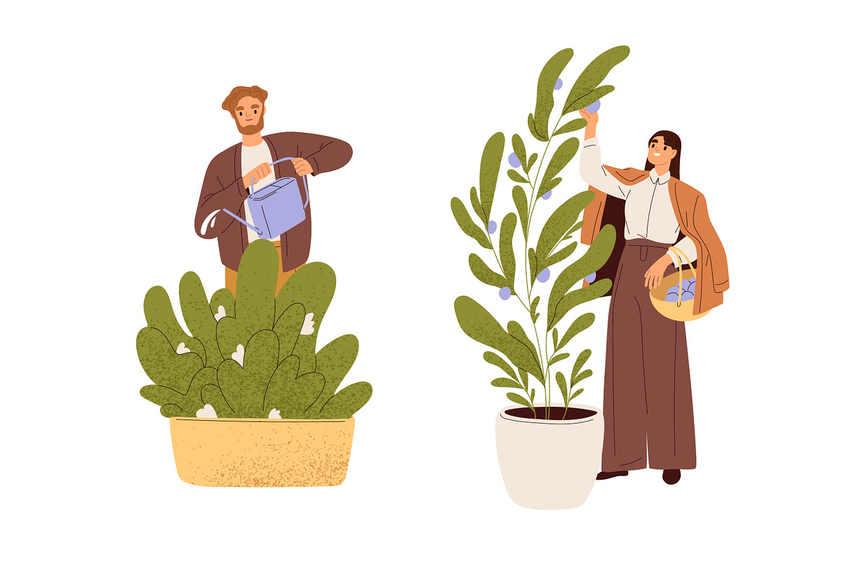 People grow and care for plants set, a Person Illustration by Good Studio (Photo 3 of 4)