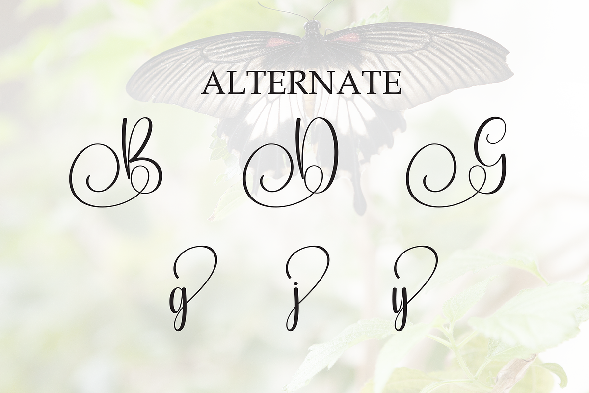 Butterfly | Script Font, a Handwritten Font by Scratchones (Photo 8 of 9)