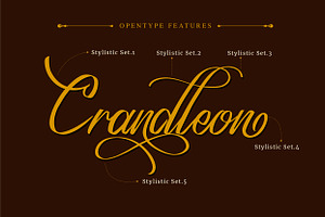 Crandleon Classy Script Typeface