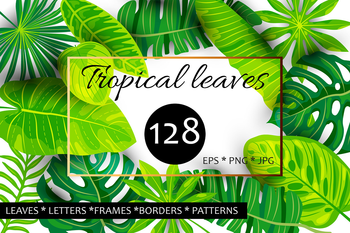 Vector tropical leaves, an Object Graphic by VaraNa Art (Photo 1 of 13)
