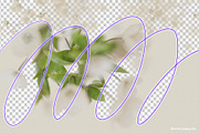 FLORA.PNG | Blurry Flower Collage, an Object Graphic by ana & yvy (Thumbnail 8 of 23)