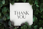 Giveaway - Classy Serif Font, a Serif Font by Sensatype (Thumbnail 12 of 13)