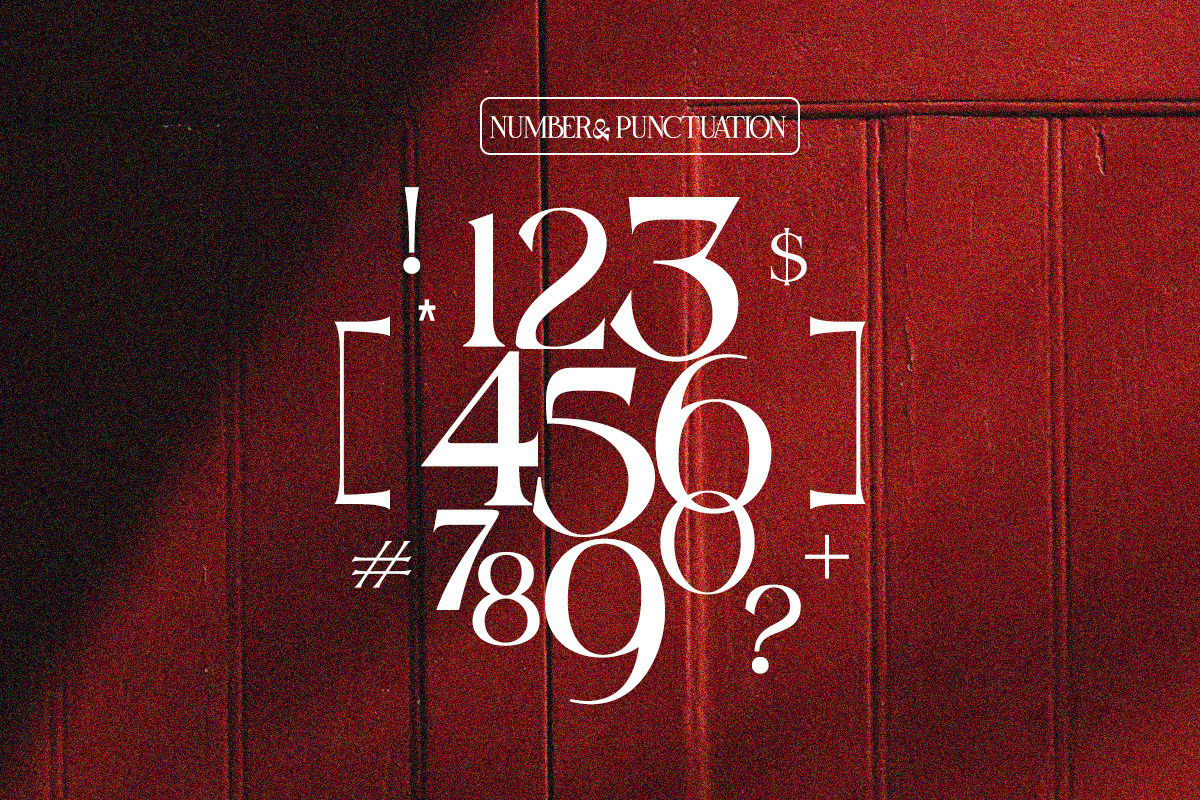 Selnonce - Elegant Luxury Serif, a Serif Font by Qweera Studio (Photo 12 of 12)