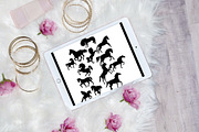 30 Beautiful Horses Brush Stamps, a Brush Add-On by Manifesto Design Gallery (Thumbnail 2 of 5)