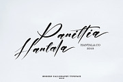 Ansttin Kishon, a Script Font by pineungtype (Thumbnail 4 of 10)