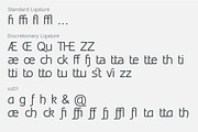 Inprimis - New Sans Serif typefamily, a Sans Serif Font by Bellini studio (Thumbnail 5 of 9)