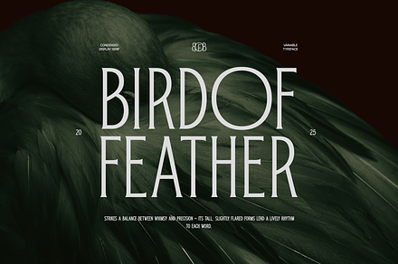 TRT Bird of Feather – Elegant Serif