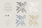 Baroque Vintage Vector Frames Crests, a Decorative Illustration by Veris Studio (Thumbnail 13 of 14)