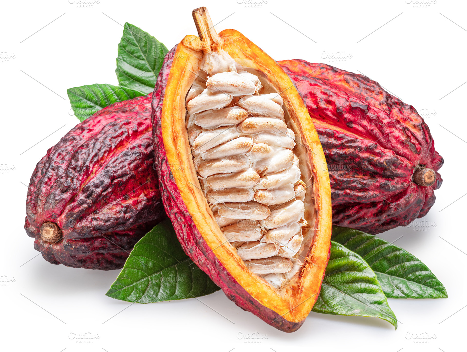 Cocoa fruits or cocoa pods and green leaves isolated on white ba, a Food & Drink Photo by Volff