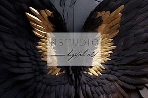 13 Black Angel Wings Backdrops