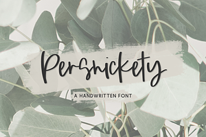 Persnickety Script