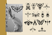 Secret Garden BUNDLE. Graphic art, a Wallpaper Graphic by heyXeni (Thumbnail 12 of 26)