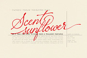 Sacred Letter - Natural Script, a Script Font by Ridha-38.lineart (Thumbnail 3 of 12)