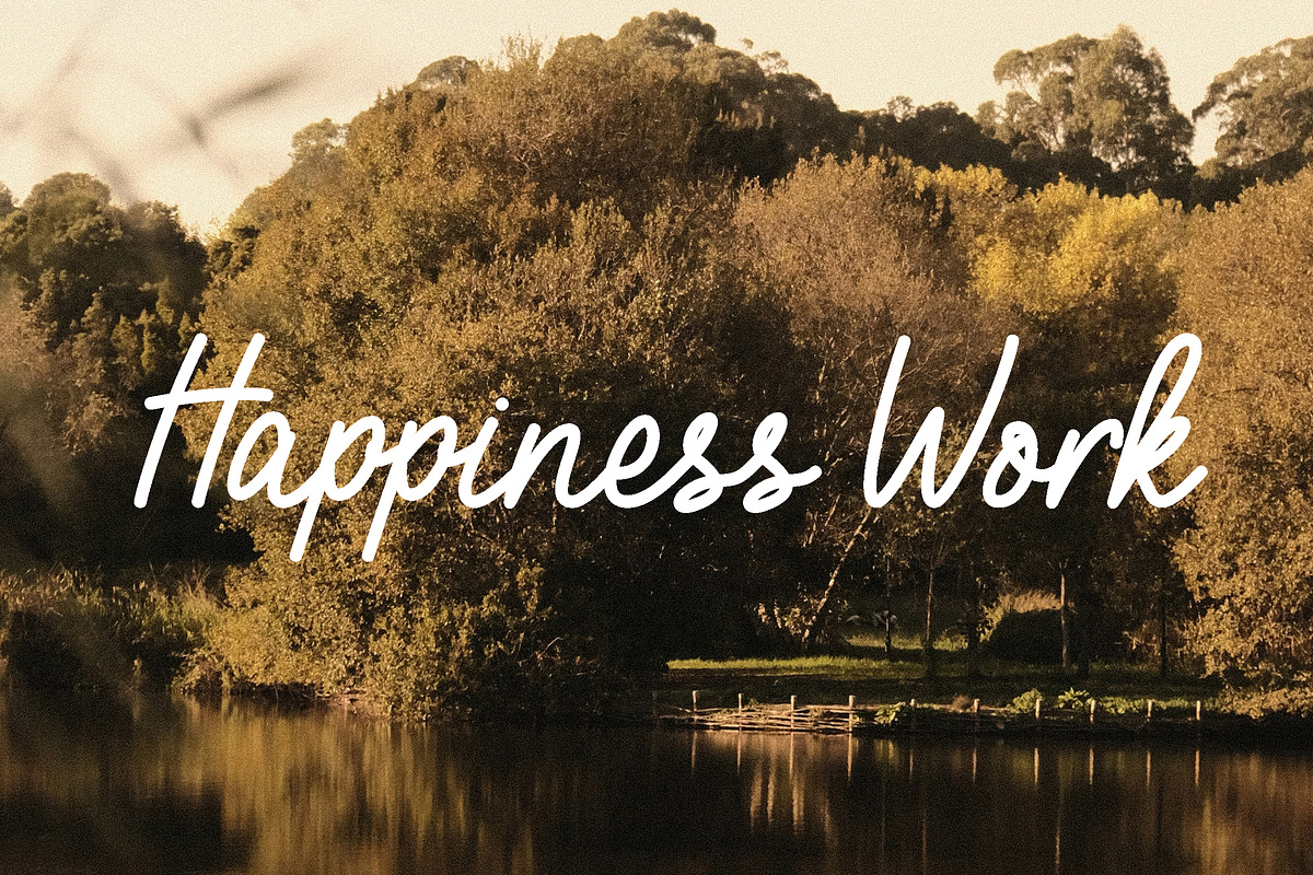 Riamon - lines stylish script font, a Script Font by Fontcastle (Photo 7 of 7)