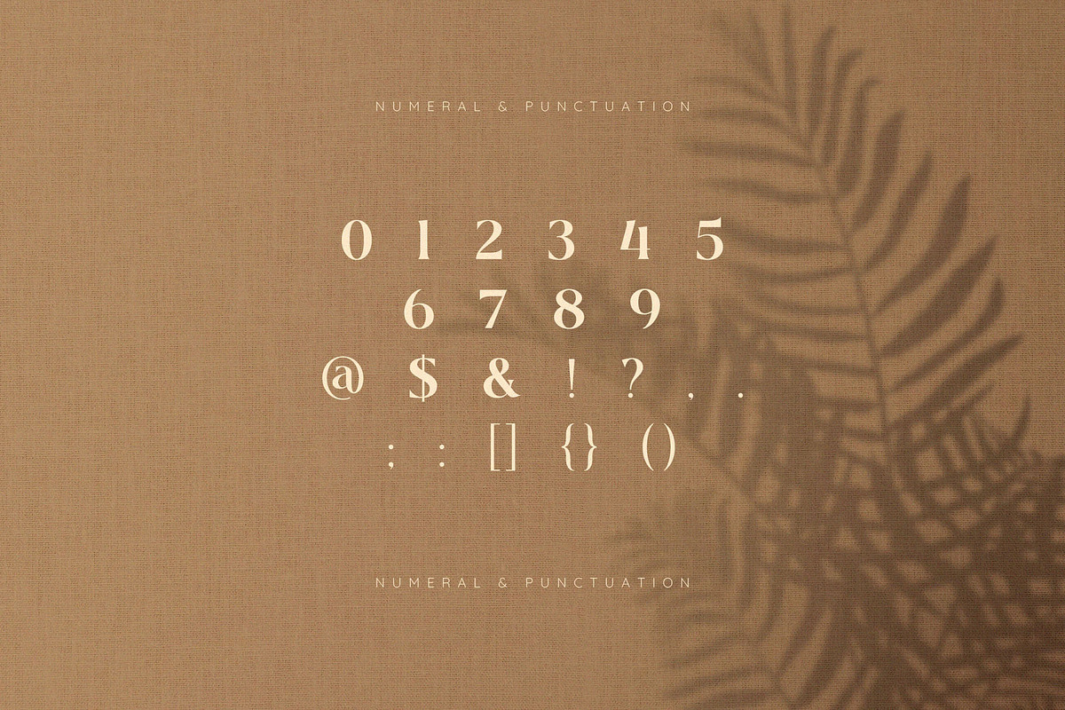 Classma – Modern Classy Serif Font, a Serif Font by BrandSemut (Photo 9 of 9)