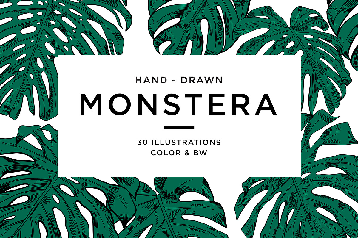 Green MONSTERA Leaves, an Illustration by Tanya Akhmett (Photo 1 of 8)