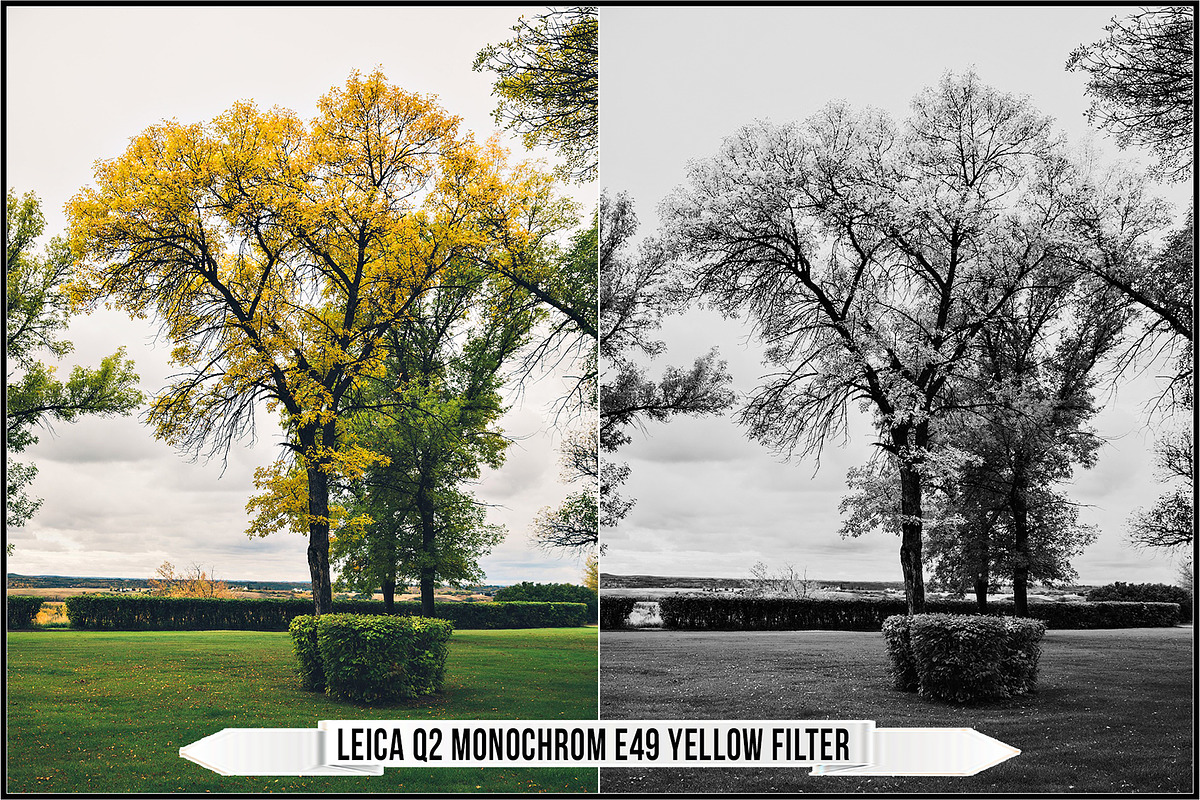 Leica Monochrom Profiles, a Plug-in Add-On by Raztrend (Photo 31 of 31)