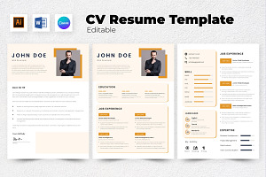 Resume / CV Web Developer V2, a Resume Template by twinstd