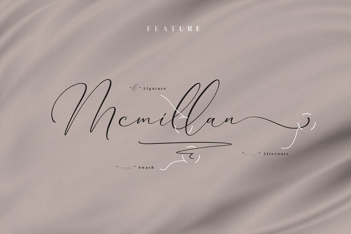 Qinarsi, a Script Font by Integritype Studio (Photo 8 of 15)