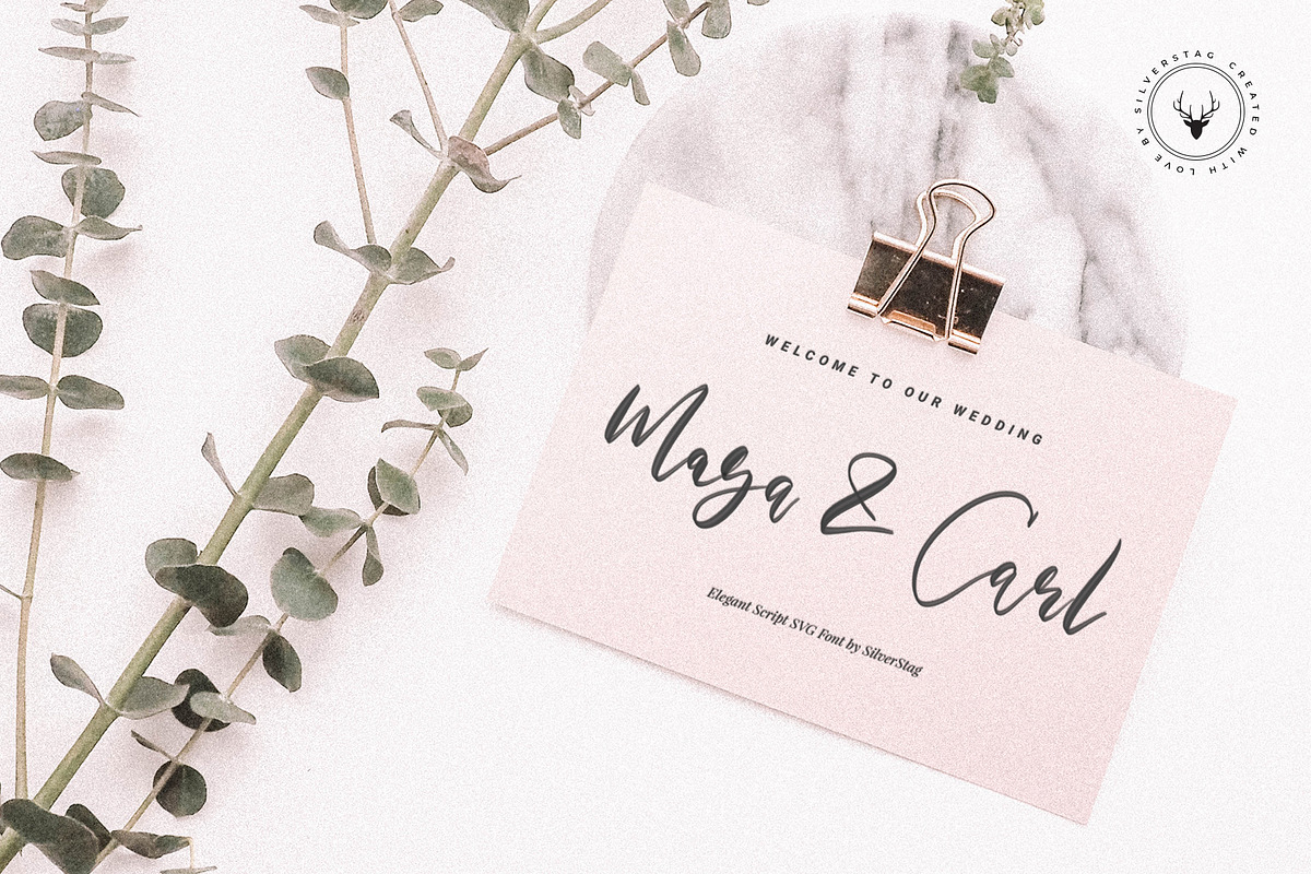 Maria Rose Elegant Script SVG Font, a Script Font by SilverStag Type Foundry (Photo 10 of 10)
