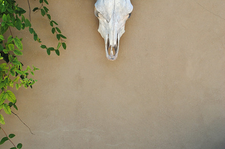 Rustic Courtyard