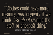 Ferdinos, a Serif Font by Dora Typefoundry (Thumbnail 8 of 14)