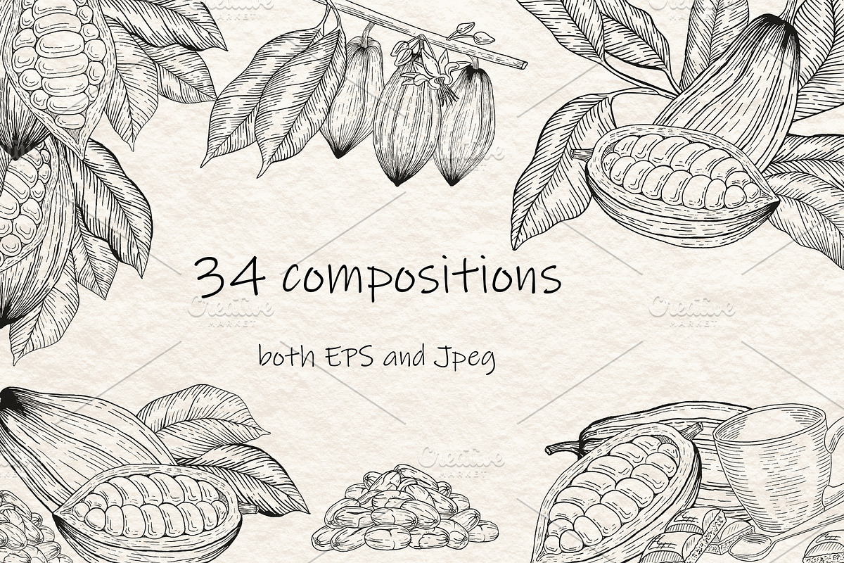 Cocoa Beans Vector illustration, a Food Illustration by Milla_Zelenyuk_art (Photo 3 of 5)