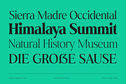Montas - 7 Fonts, a Serif Font by Nasir Udin (Thumbnail 8 of 16)