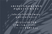 Astrid Elegant Ligature Typeface, a Serif Font by Dylla_studio (Thumbnail 12 of 12)