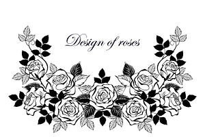 Frame of contour roses