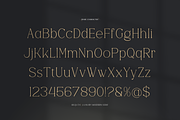 Bequta | Luxury Modern Serif, a Serif Font by gracetype_studio (Thumbnail 10 of 12)
