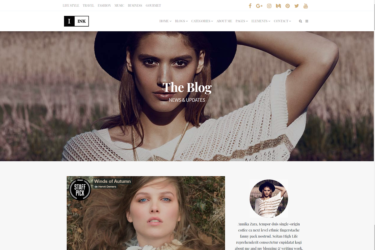 Ink Minimalist Blog WordPress Theme, a WordPress Template by Visualmodo (Photo 20 of 20)