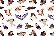 Funny owls, forest birds set, an Animal Illustration by PaperTrident (Thumbnail 6 of 6)