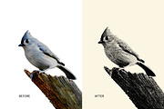 Easy Engraver Effects for Photoshop, a Layer Style Add-On by mockstar (Thumbnail 2 of 6)