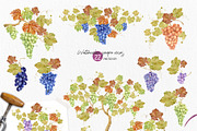 Craft WINE. Watercolor set, an Illustration by Tata Pilip (Thumbnail 2 of 16)