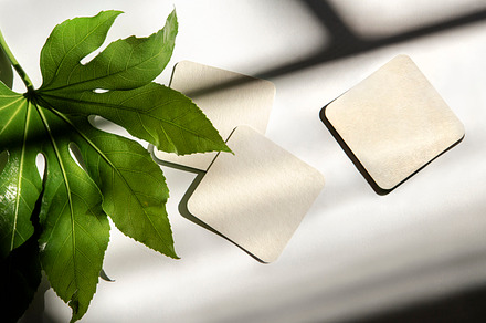 coasters with shadows and a plant, a Photo by UN-BRANDED