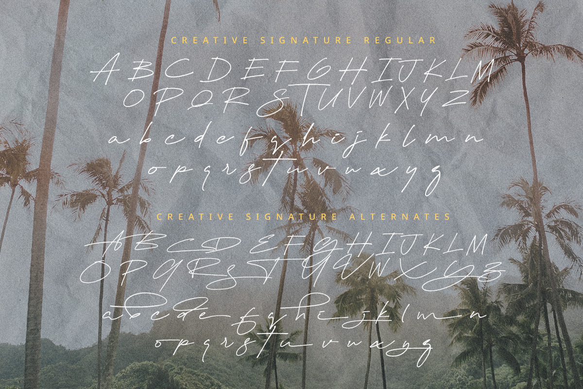 Creative Signature | Modern Script, a Script Font by Scratch Design (Photo 7 of 16)