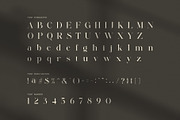 Bokking Elegant Serif Font, a Serif Font by Perfectype (Thumbnail 7 of 8)