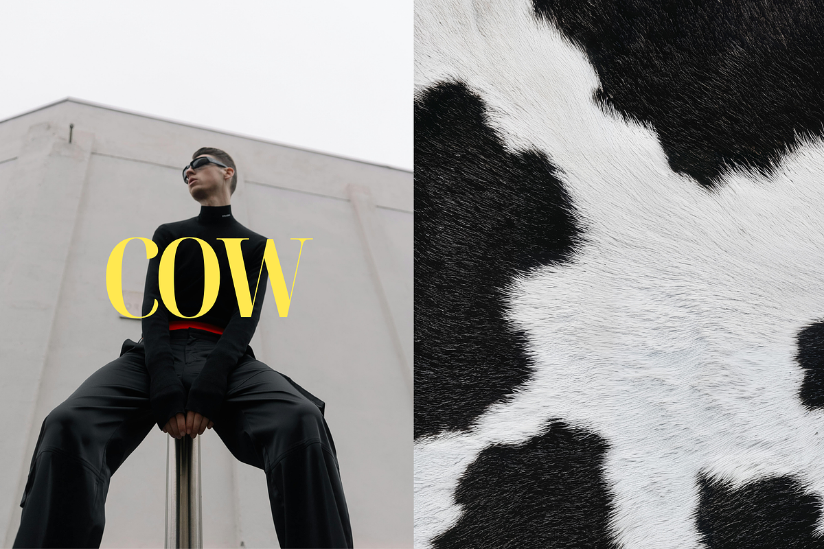 FURther: The Ultimate Fur Collection, a Background Graphic by Anastasiia VNSK (Photo 5 of 12)