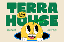 Terra House Bold Sans Display Font
