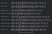 Effidhem Mevagen | 18 Font Files, a Serif Font by IM Studio (Thumbnail 14 of 14)
