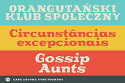 CA Cape Rock - Family, a Slab Serif Font by Cape Arcona Type Foundry (Thumbnail 4 of 8)