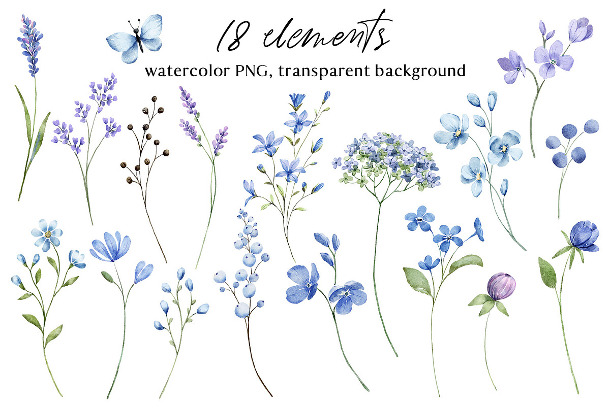 Blue flowers watercolor PNG clipart., a Decorative Illustration by Larisa Maslova (Photo 7 of 9)