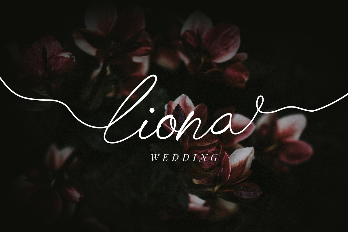 Chick Budapest Signature Font, a Script Font by UICreative (Photo 2 of 5)