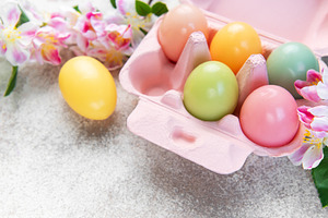 Colorful easter eggs in carton with spring flowers, a Holiday Photo by Olena Rudo