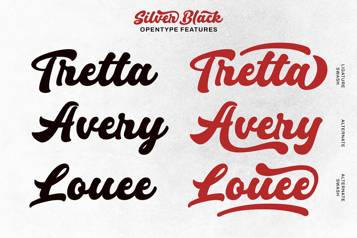 Silver Black –  Logotype Font, a Script Font by Lettersiro (Photo 3 of 9)